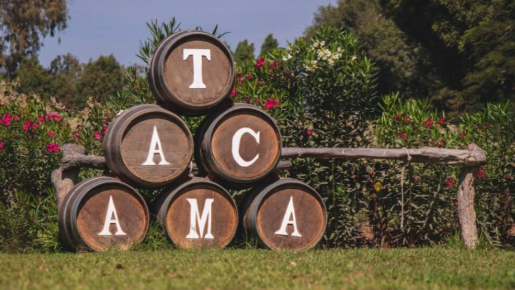 El vino peruano más allá del campo: ¿Por qué Tacama es un referente global?