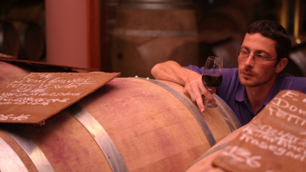 cada vino cuenta su historia