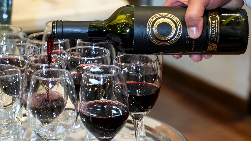 Malbec para principiantes: descubre los tintos sin miedo