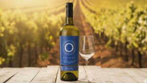 Vinos blancos Tacama experiencia única