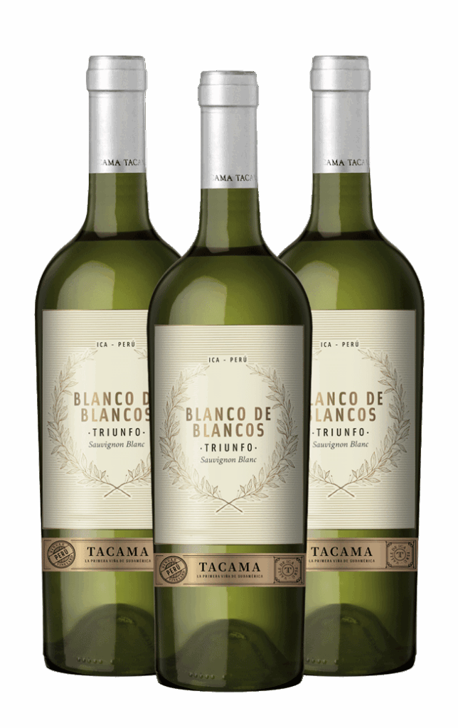 Blanco de Blancos Sauvignon x 3 botellas