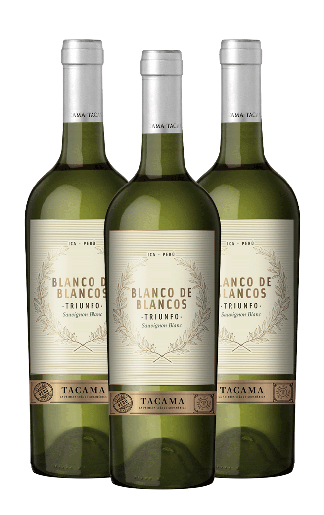 Blanco de Blancos Sauvignon x 3 botellas