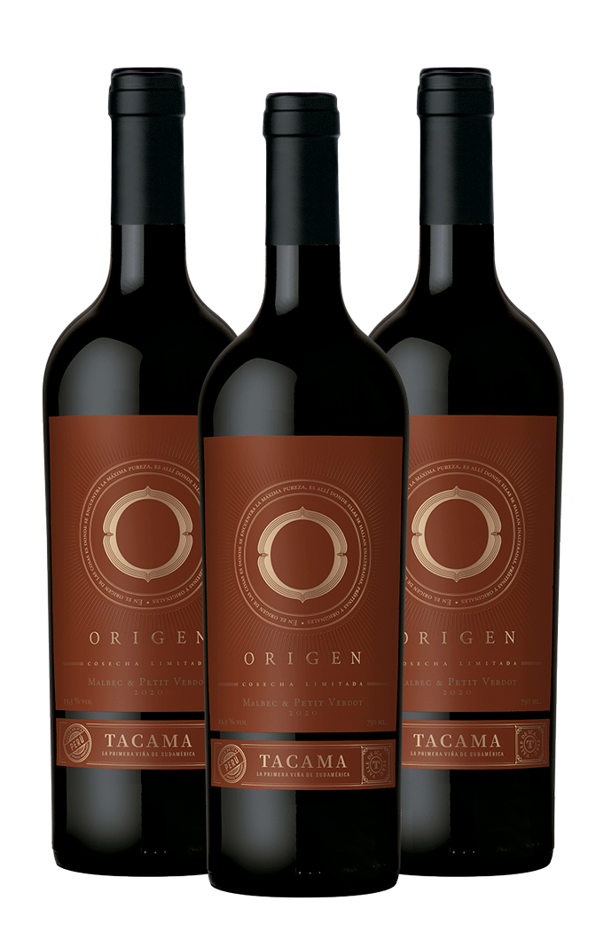 Origen Malbec Petit Verdot x 3 botellas