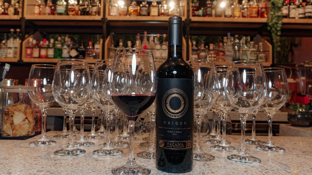 Vino Malbec, ¿por qué es el favorito para las fiestas?