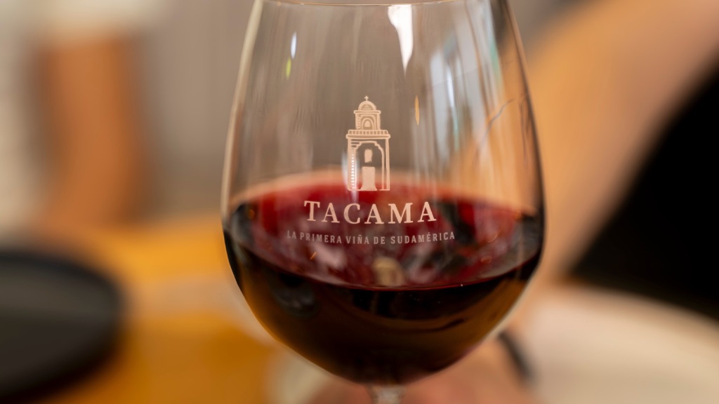 Entre copas y paisajes: el vino Tacama que no puede faltar en tu picnic