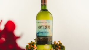 Sauvignon Blanc 5 mitos debes dejar atrás para disfrutarlo como experto