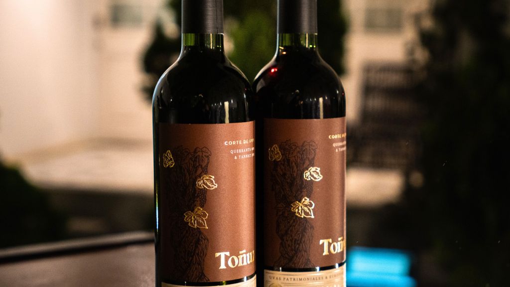 Tannat, la cepa con más taninos: fuerza, estructura y antioxidantes naturales