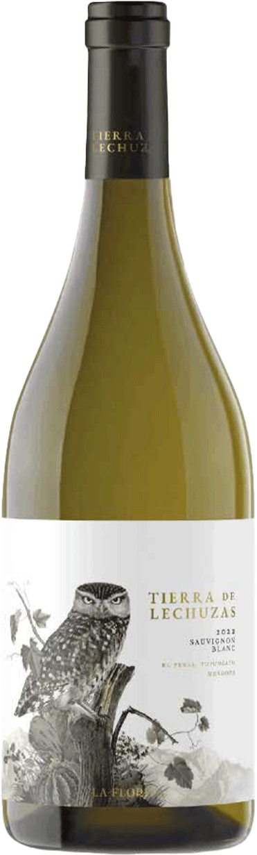 Tierra de Lechuzas Sauvignon Blanc
