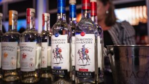 Pisco guía precios según tipo calidad botella