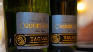 Cuál es mejor vino espumoso para regalar Guía práctica elegir bien