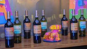 vino protagonista Cómo organizar cata casa