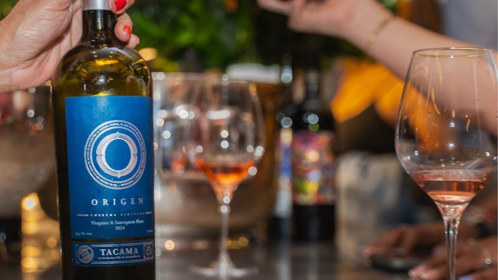 Guía para principiantes: cómo elegir tu primer vino Tacama