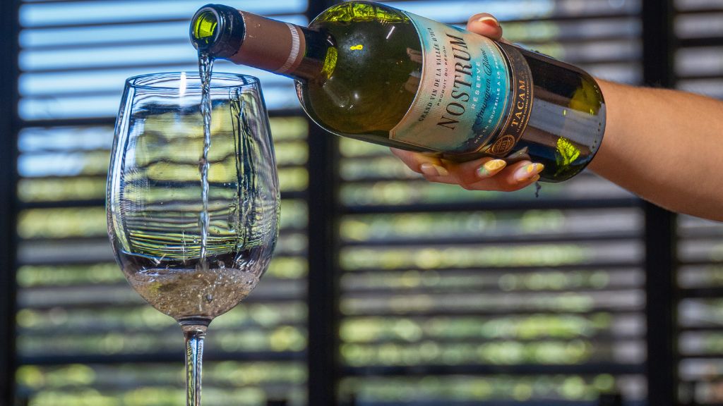 Vino blanco seco vs. dulce: guía sensorial para elegir el ideal