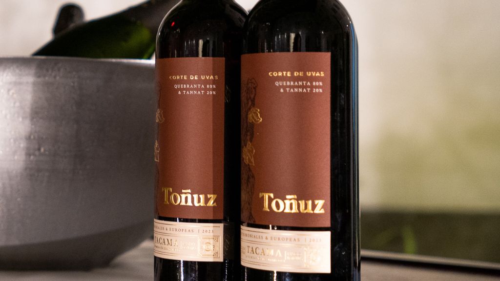 Blends con Tannat: por qué se mezcla y qué buscar en la copa