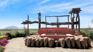 Por qué pisco no se guarda en madera importancia reposo