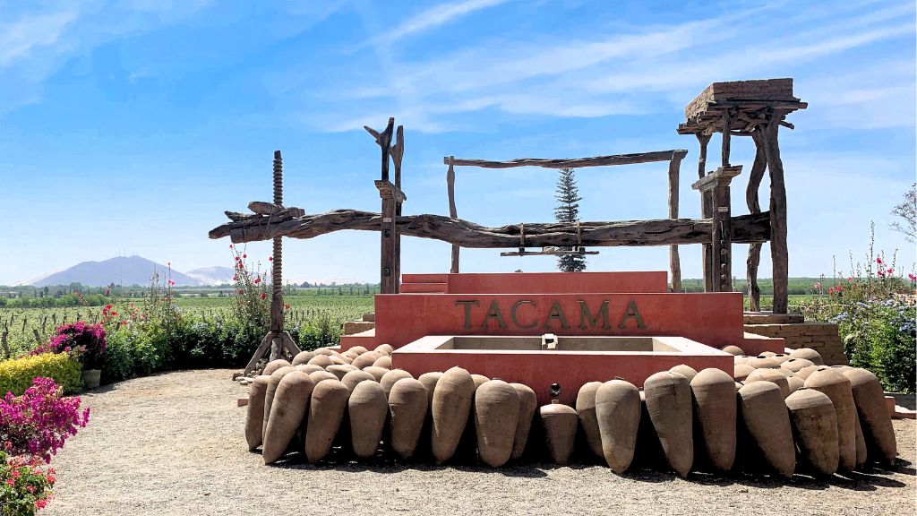 ¿Por qué el pisco no se guarda en madera? La importancia del reposo