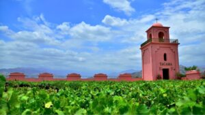 Paisaje de los viñedos de la hacienda Tacama en el valle de Ica, Perú