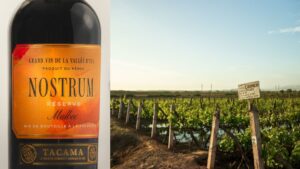Racimo de uva Malbec en viñedo de altura