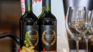 Botella de vino tannat Tacama junto a copa con vino tinto