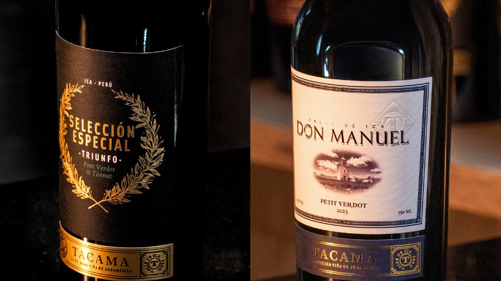 Petit Verdot vs. Tannat: en qué se diferencian y cómo se sienten en boca