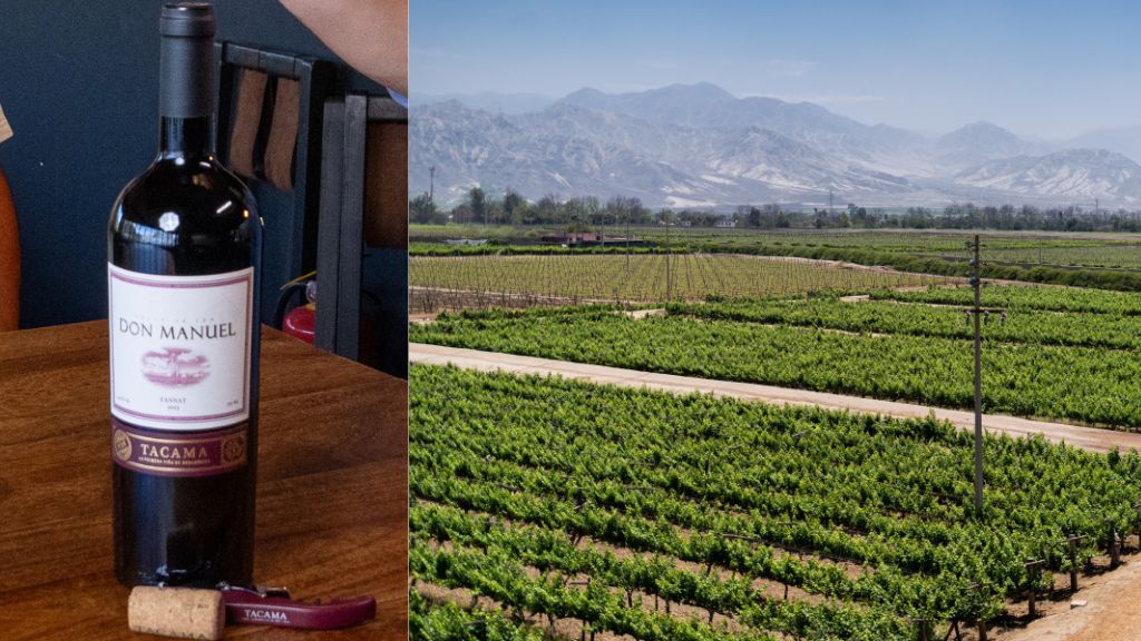 De Uruguay a Perú: El viaje del Tannat y cómo conquistó el desierto de Ica