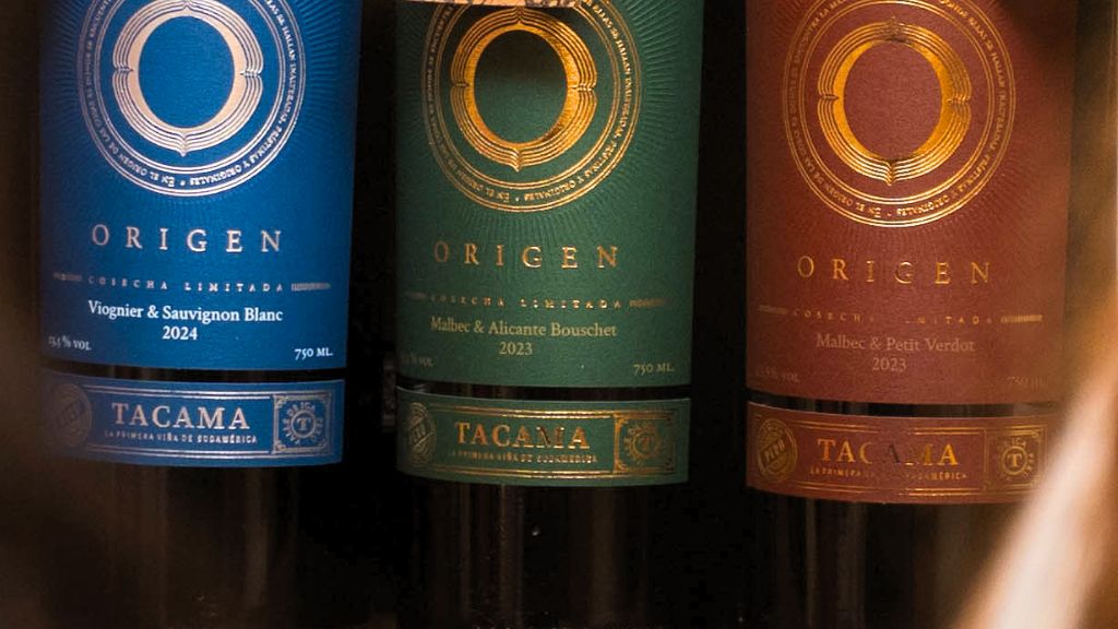 ¿Qué es un vino de guarda? Cómo saber si un vino Tacama puede envejecer