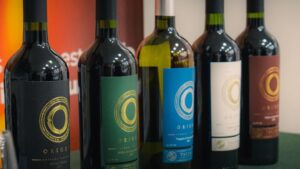 Varias botellas de vino Tacama almacenadas correctamente para conservar su calidad