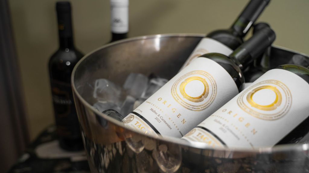 Carmenére vs Malbec: guía para elegir el tinto que va mejor contigo