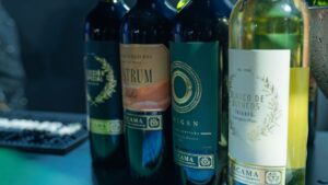 Personalidad de una uva en vino o pisco