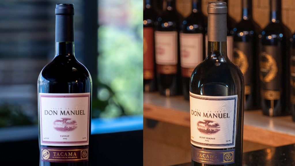 ¿Tannat o Petit Verdot? Cómo elegir un Don Manuel Tacama según tu estilo de vino