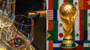 Guía completa de mejores vinos para ver el Mundial 2026