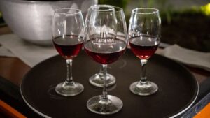 Vino Tacama para el frío
