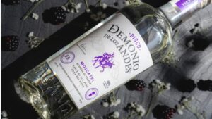 Catar pisco de alta gama no exige ser sommelier ni conocer un diccionario de aromas de memoria