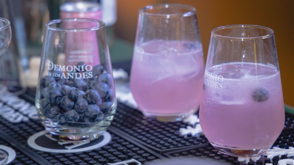 Cómo combinar pisco y vino Tacama en la misma reunión, sin perder elegancia ni tradición