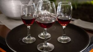 Si te atraen los vinos profundos, una gran puerta de entrada es Tacama Origen Malbec