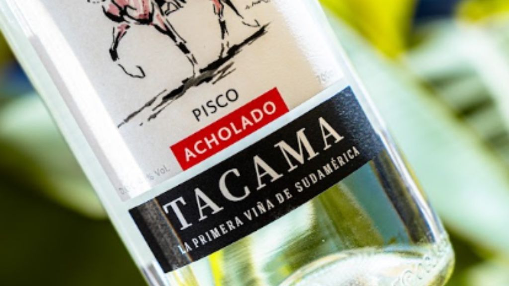 Cómo elegir el pisco acholado ideal según tu estilo de consumo