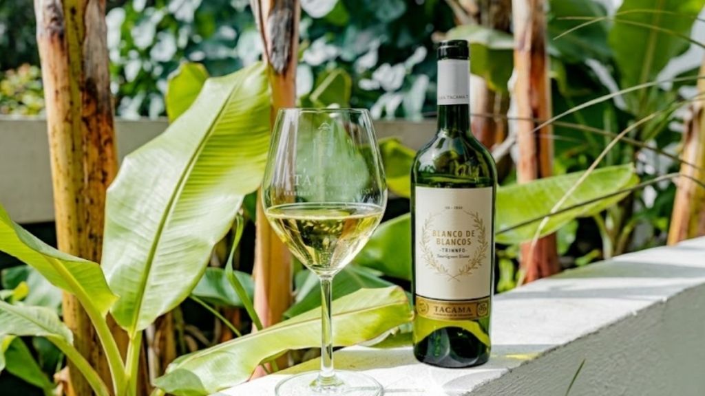 Tipos de vino blanco ideales para cócteles: guía para elegir sin equivocarte