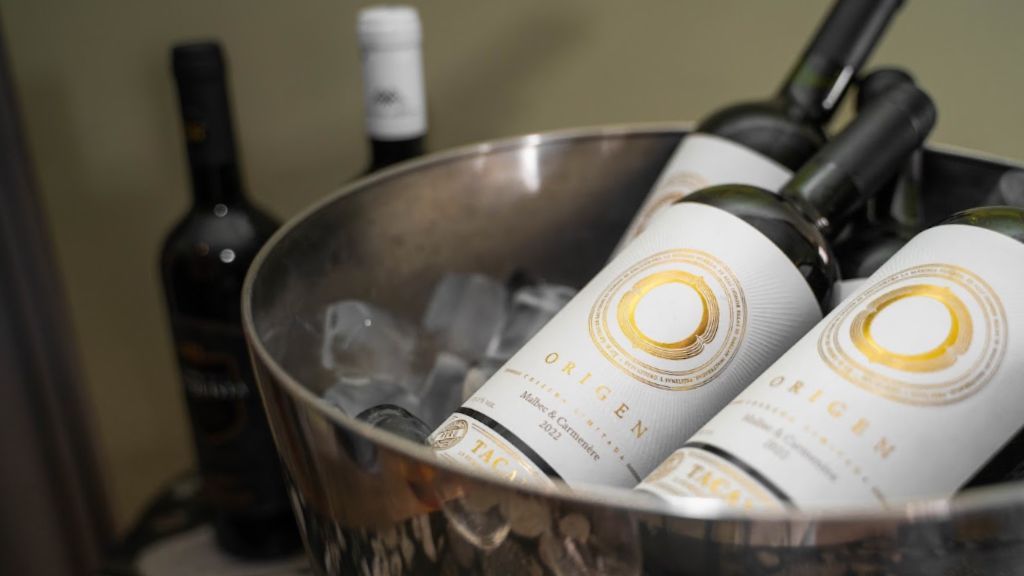 Errores al enfriar vino: cómo evitar fallas y servir cada copa perfecta