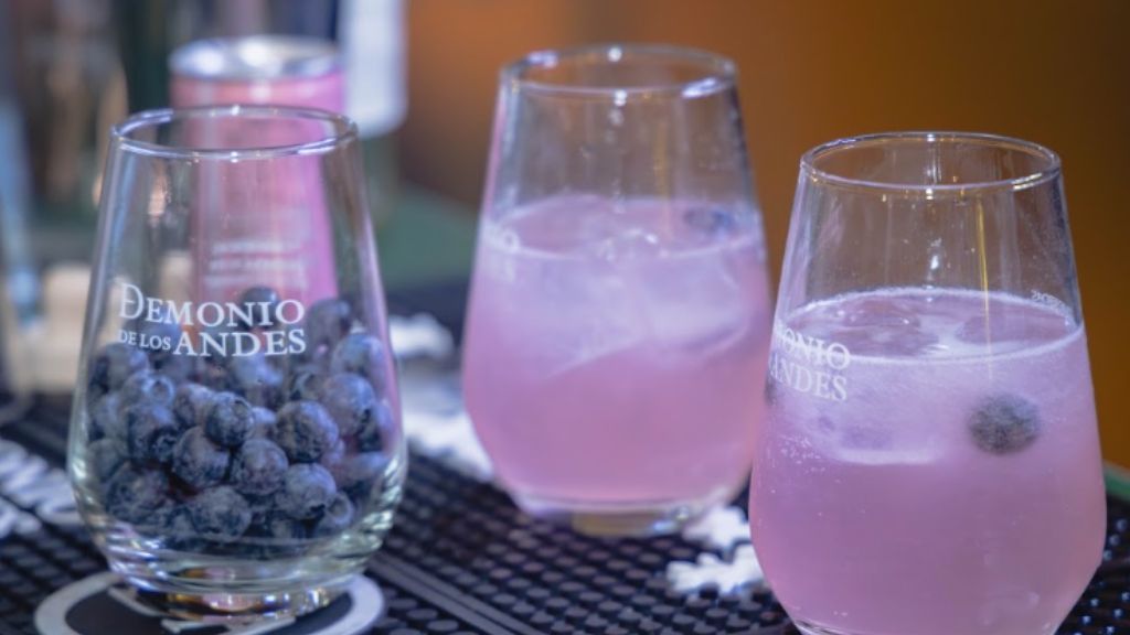¿Qué es la fermentación del vino? El momento en que la uva se convierte en historia