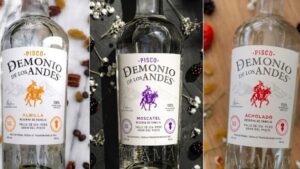pisco tacama para regalar